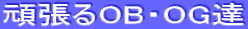 撣OBEOGB